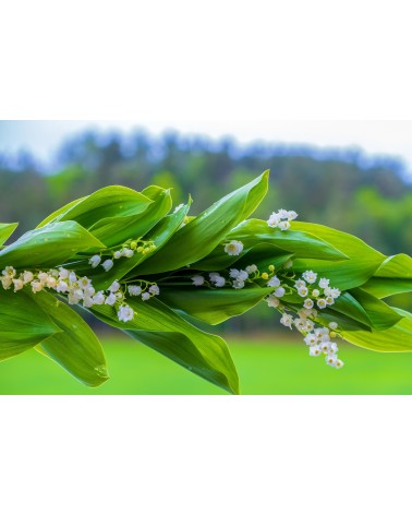 Muguet, 30 ml 