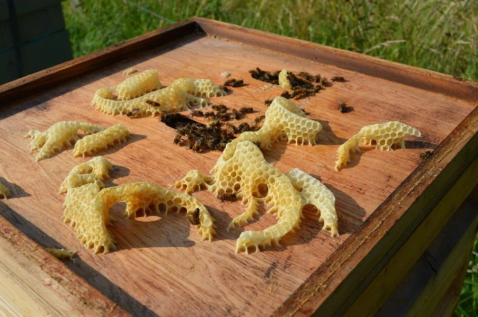 Cire d'abeilles